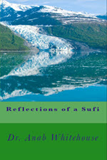 Reflections of a Sufi